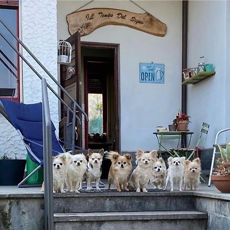 באוונו B&B Il Tempo Del Sogno Con Cani E Gatti Pet&Breakfast מראה חיצוני תמונה