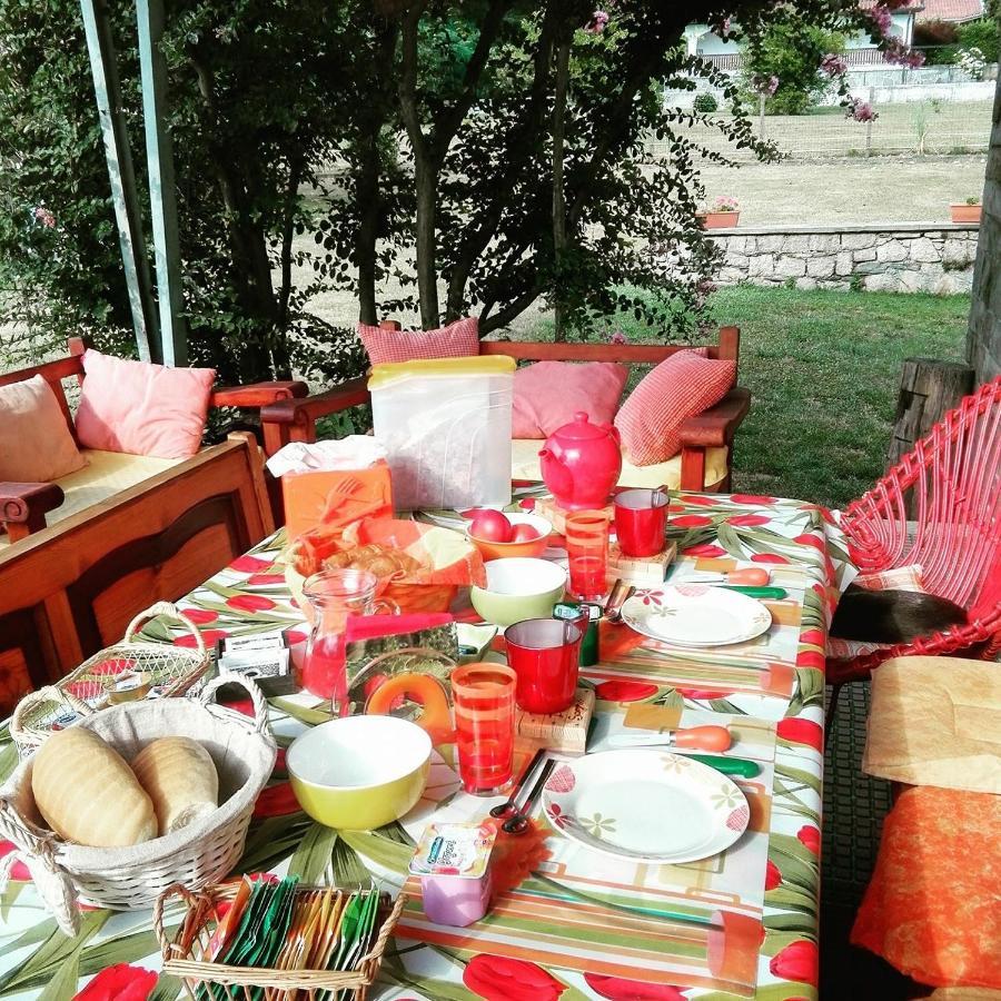 באוונו B&B Il Tempo Del Sogno Con Cani E Gatti Pet&Breakfast מראה חיצוני תמונה
