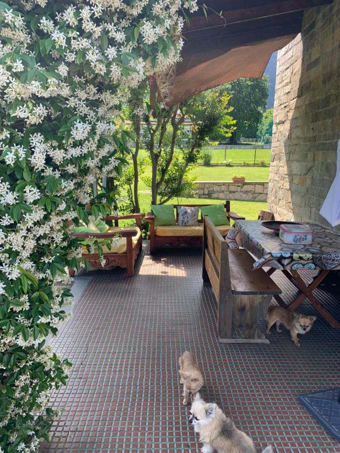 באוונו B&B Il Tempo Del Sogno Con Cani E Gatti Pet&Breakfast מראה חיצוני תמונה