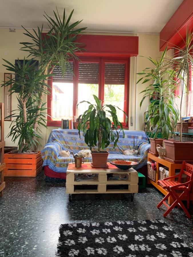 באוונו B&B Il Tempo Del Sogno Con Cani E Gatti Pet&Breakfast מראה חיצוני תמונה